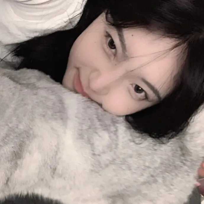 来了！张宝利国语